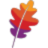 Apache Hadoop logo