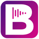 BookVoice logo