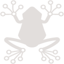 Rainfrog AI logo